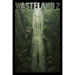 Wasteland 2 (PC - Steam Key)