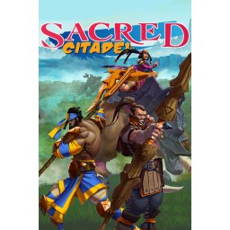 Sacred Citadel (PC - Steam Key)