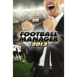 Football Manager 2013 (PC - Steam Key)