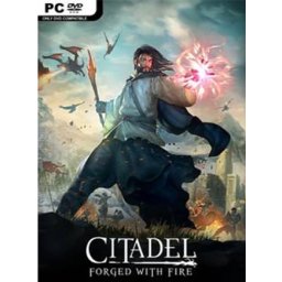 Citadels (PC - Steam Key)