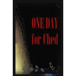 One Day for Ched (PC - Steam Key)