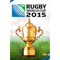 Rugby World Cup 2015 (PC - Steam Key)