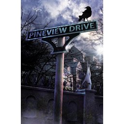 Pineview Drive (PC - Steam Key)