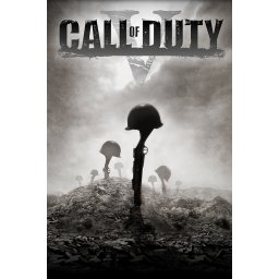 Call of Duty: World War II (PC - Steam Key)