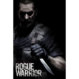 Rogue Warrior (PC - Steam Key)