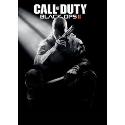 Call of Duty: Black Ops II EU (PC - Steam Key)