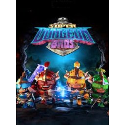 Super Dungeon Bros (PC - Steam Key)