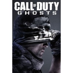 Call of Duty: Ghosts (EU) (PC - Steam Key)