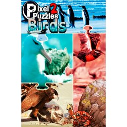 Pixel Puzzles 2 - Birds (PC - Steam Key)