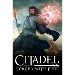 Citadel: Forged with Fire (PC - Steam Key)