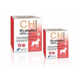 Hyalophyt MSM Mare, supliment pentru articulatii, 120 tablete
