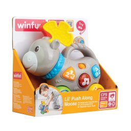 Jucarie de împins Winfun Elan interactiva cu sunete si lumini, 6 luni+