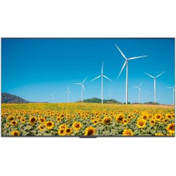 Display Profesional Hisense 65DP30FE 65inch Ultra HD 4K WiFi Black