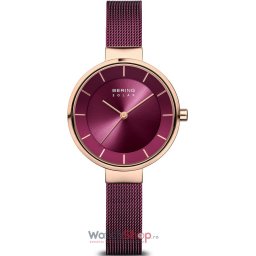 Bering Solar 14631-969 14631-969