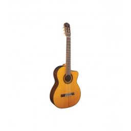 Takamine GC5CE - Natural