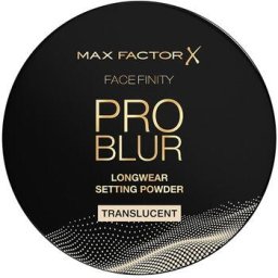 Max Factor Facefinity Pro Blur Longwear Setting Powder Translucent