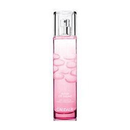Rose de vigne Fresh Fragrance EDP