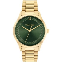 WATCH CALVIN KLEIN MAN 25200229 (40MM)