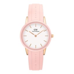 WATCH DANIEL WELLINGTON WOMEN DW00100532 (32MM)