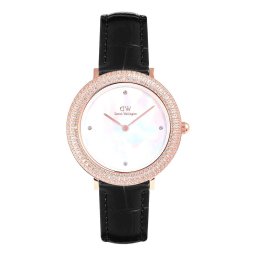 WATCH DANIEL WELLINGTON WOMEN DW00100827 (32MM)