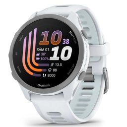 Ceas inteligent Garmin Forerunner 170, 43 mm, AMOLED, GPS, compatibil Android/iOS, Garmin Pay, curea din silicon, Alb piatra-Albastru deschis
