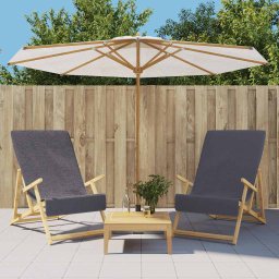 Prosoape de plaja, 2 buc., antracit, 60x135 cm, textil 400 GSM GartenMobel Dekor