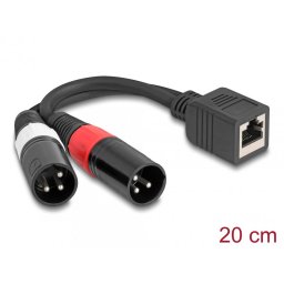 Adaptor RJ45 la 2 x XLR 3 pini M-T 0.2m, Delock 88179