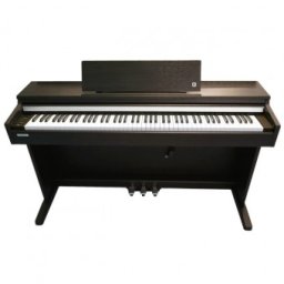 Kurzweil CUP M1 SR