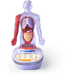 Jucarie Science Can Descopera Corpul Uman Enciclopedie Interactiva 6+Ani