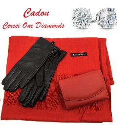 Cadou Vogue Manusi, Esarfa Casmir Portofel Piele Naturala Cadou Cercei One Diamonds