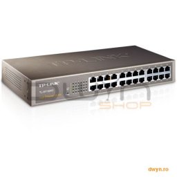 Switch 24 Port-uri 10/100, carcasa metalica 13-inch