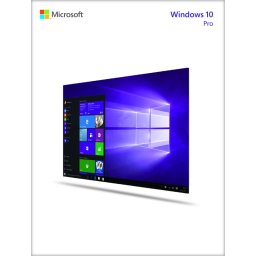 Microsoft Windows Pro 10 - Online