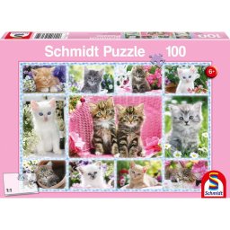 Puzzle Schmidt: Pisoiasi, 100 piese