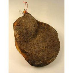 Prosciutto Toscano, Intreg, Fara Os, 18 Luni, cca. 7,5Kg - Montalcino Salumi, Italia