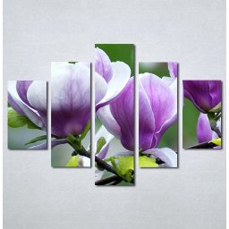 Slika na platnu Ljubičasta magnolija Nina3097_5