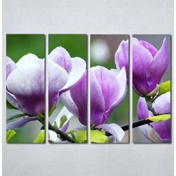 Slika na platnu Ljubičasta magnolija Nina3097_4