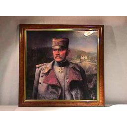 Slika Vojvode Živojina Mišića