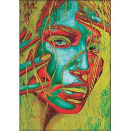 Misteriozna žena, uramljena slika 70x100cm