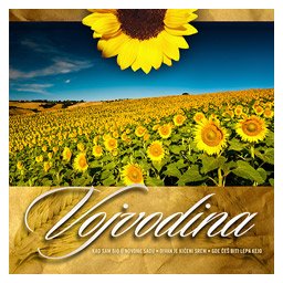 Vojvodina (CD)