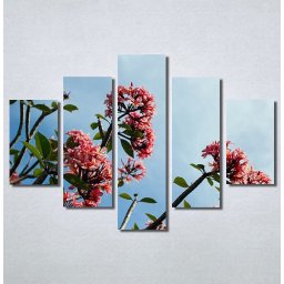 Slike na platnu Flower Nina30175_5