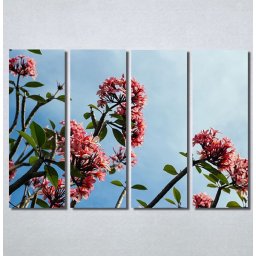 Slike na platnu Flower Nina30175_4