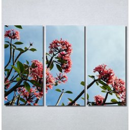 Slike na platnu Flower Nina30175_3