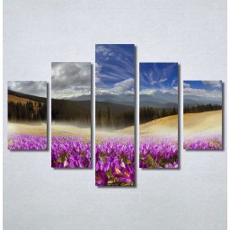 Slike na platnu Pink flowers Nina30223_5