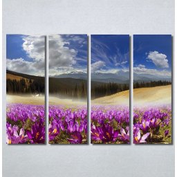 Slike na platnu Pink flowers Nina30223_4