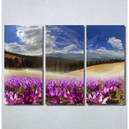 Slike na platnu Pink flowers Nina30223_3