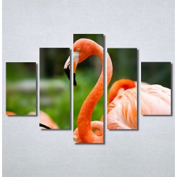 Slike na platnu Flamingo ptica Nina30256_5