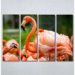 Slike na platnu Flamingo ptica Nina30256_4