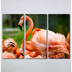 Slike na platnu Flamingo ptica Nina30256_3