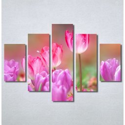 Slike na platnu Pink lale Nina30270_5