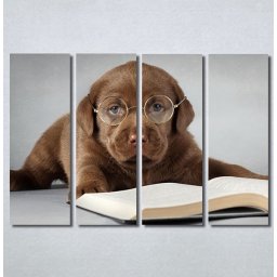Slike na platnu Kuče Nina30271_4